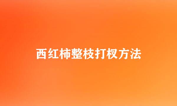 西红柿整枝打杈方法