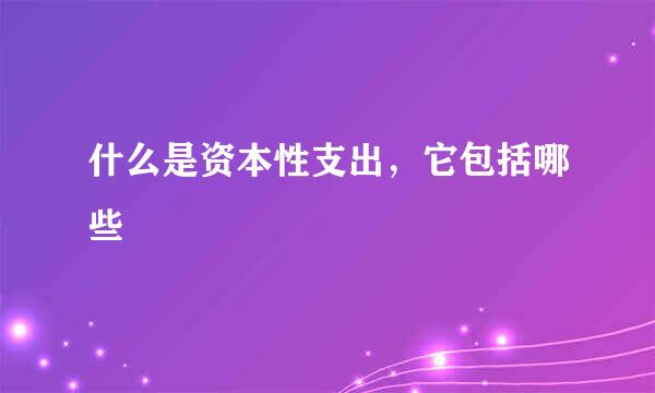 什么是资本性支出，它包括哪些