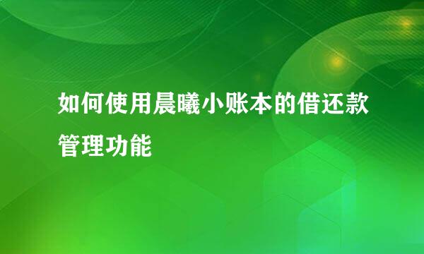 如何使用晨曦小账本的借还款管理功能