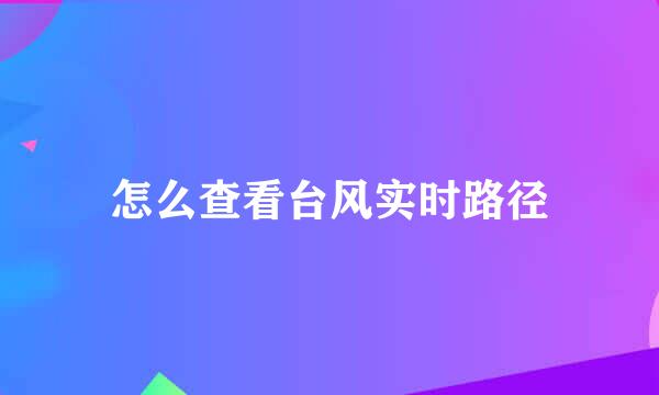 怎么查看台风实时路径