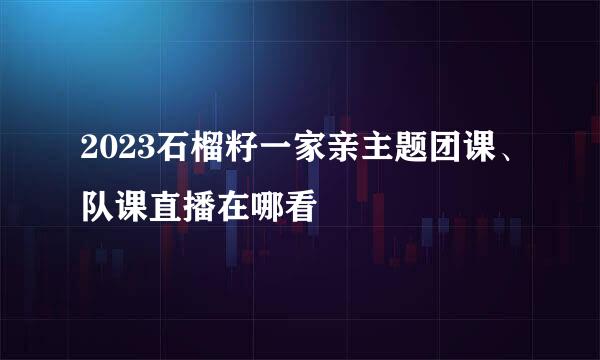 2023石榴籽一家亲主题团课、队课直播在哪看