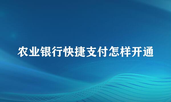 农业银行快捷支付怎样开通