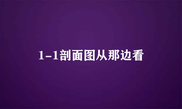 1-1剖面图从那边看