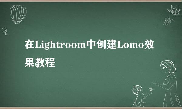 在Lightroom中创建Lomo效果教程