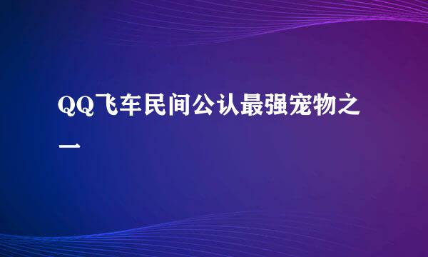 QQ飞车民间公认最强宠物之一