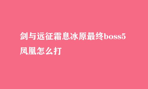 剑与远征霜息冰原最终boss5凤凰怎么打