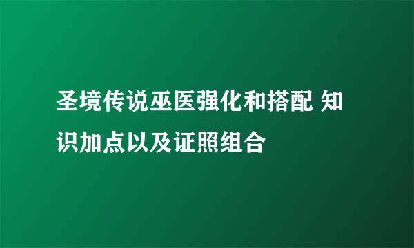 圣境传说巫医强化和搭配 知识加点以及证照组合