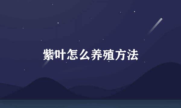 紫叶怎么养殖方法