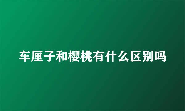 车厘子和樱桃有什么区别吗