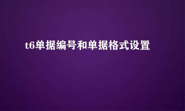 t6单据编号和单据格式设置