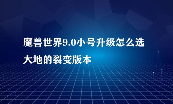 魔兽世界9.0小号升级怎么选大地的裂变版本