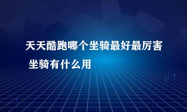 天天酷跑哪个坐骑最好最厉害 坐骑有什么用