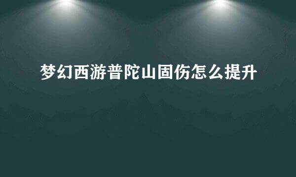 梦幻西游普陀山固伤怎么提升