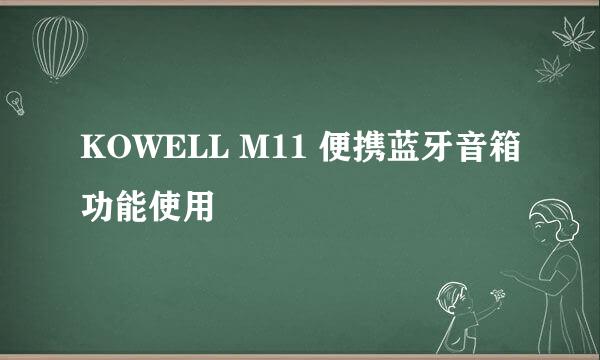 KOWELL M11 便携蓝牙音箱功能使用