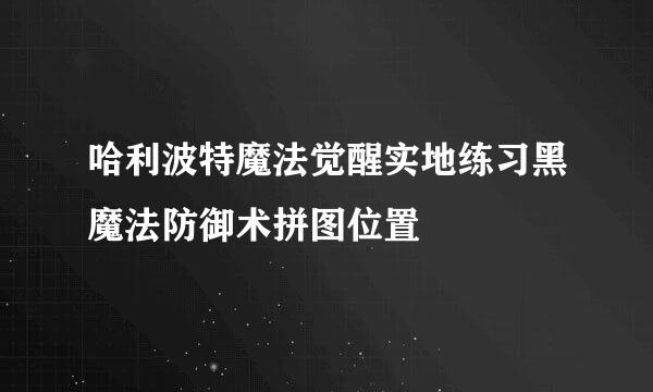 哈利波特魔法觉醒实地练习黑魔法防御术拼图位置