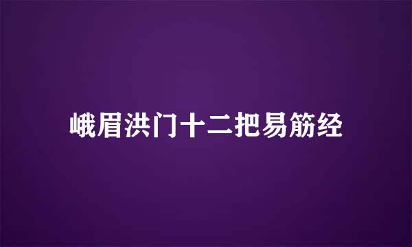 峨眉洪门十二把易筋经