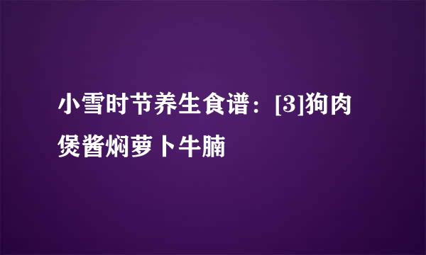 小雪时节养生食谱：[3]狗肉煲酱焖萝卜牛腩