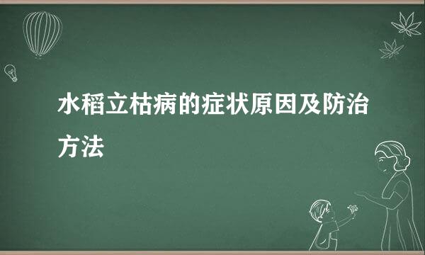 水稻立枯病的症状原因及防治方法