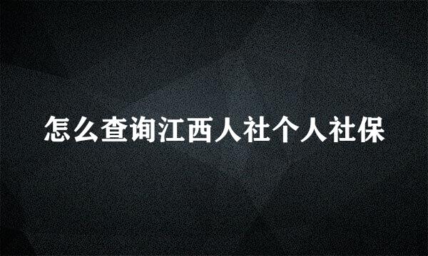 怎么查询江西人社个人社保