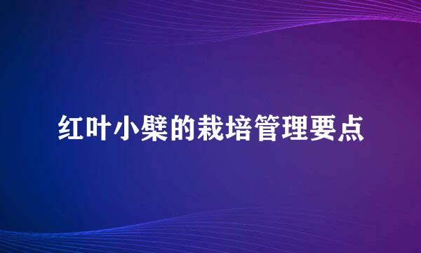 红叶小檗的栽培管理要点