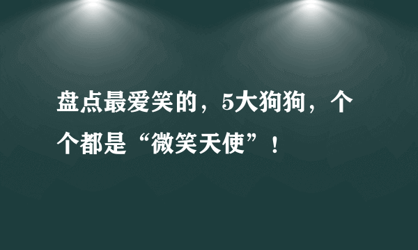 盘点最爱笑的，5大狗狗，个个都是“微笑天使”！