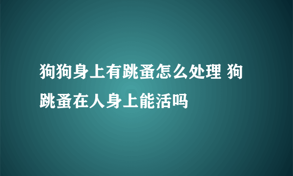 狗狗身上有跳蚤怎么处理 狗跳蚤在人身上能活吗