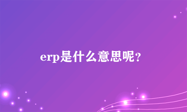 erp是什么意思呢？