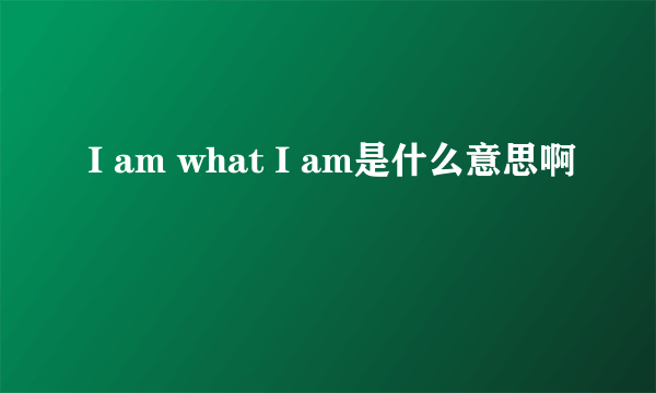 I am what I am是什么意思啊