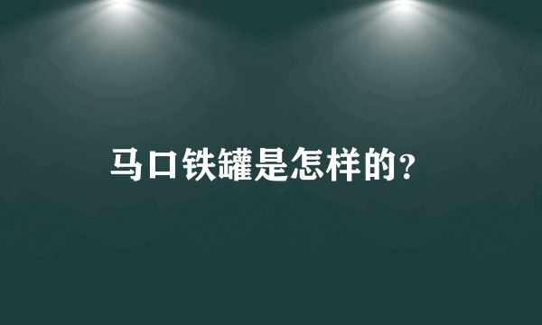 马口铁罐是怎样的？