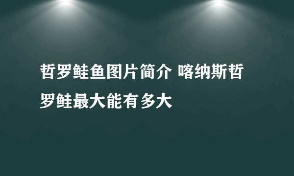 哲罗鲑鱼图片简介 喀纳斯哲罗鲑最大能有多大