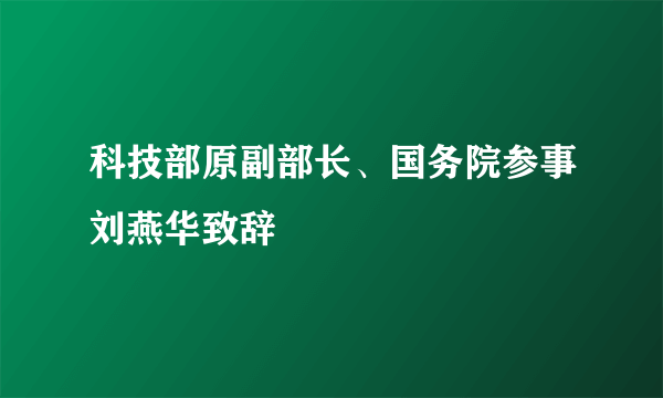 科技部原副部长、国务院参事刘燕华致辞