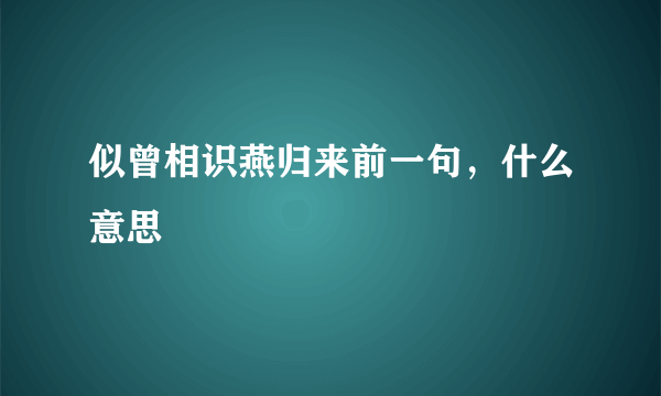 似曾相识燕归来前一句，什么意思