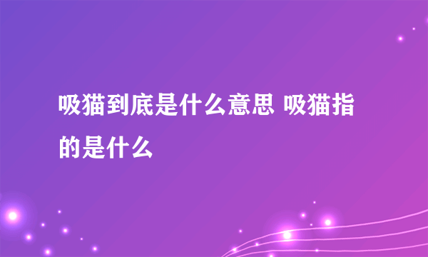 吸猫到底是什么意思 吸猫指的是什么