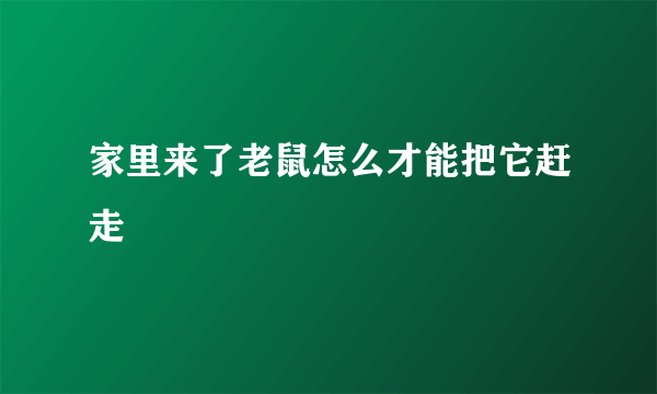 家里来了老鼠怎么才能把它赶走