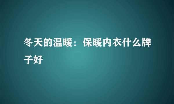 冬天的温暖：保暖内衣什么牌子好