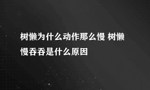 树懒为什么动作那么慢 树懒慢吞吞是什么原因