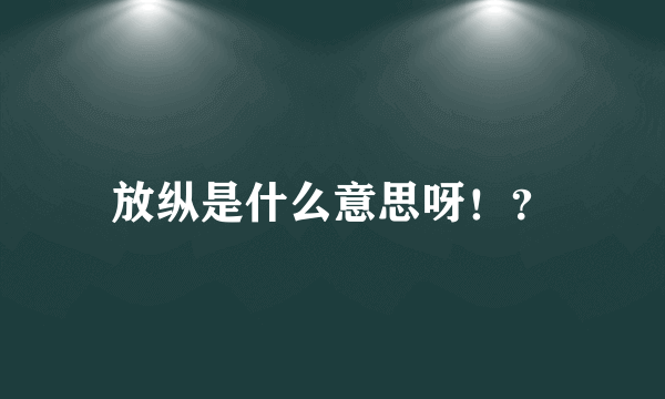 放纵是什么意思呀！？