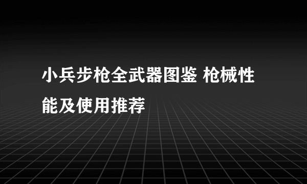 小兵步枪全武器图鉴 枪械性能及使用推荐