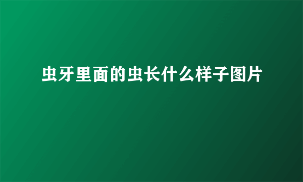 虫牙里面的虫长什么样子图片