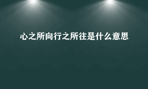 心之所向行之所往是什么意思