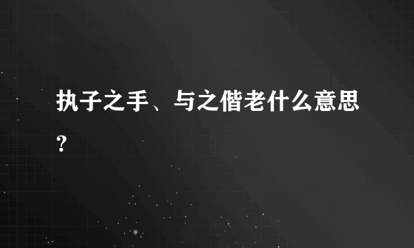 执子之手、与之偕老什么意思？