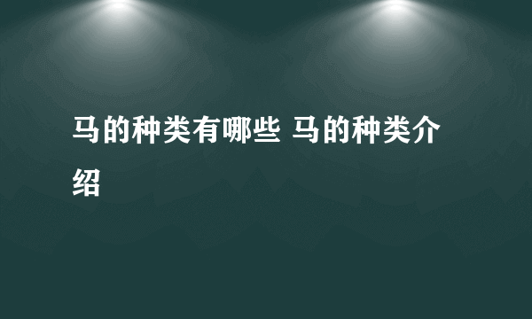 马的种类有哪些 马的种类介绍