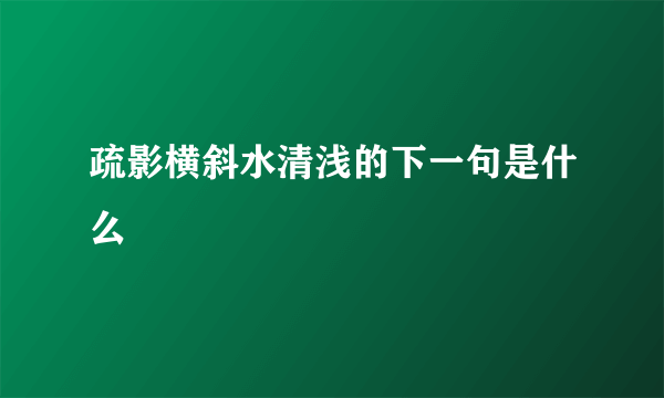 疏影横斜水清浅的下一句是什么