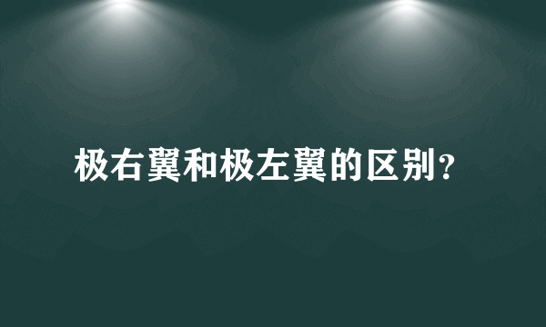 极右翼和极左翼的区别？