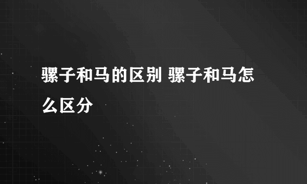 骡子和马的区别 骡子和马怎么区分