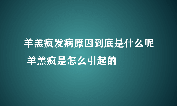 羊羔疯发病原因到底是什么呢 羊羔疯是怎么引起的