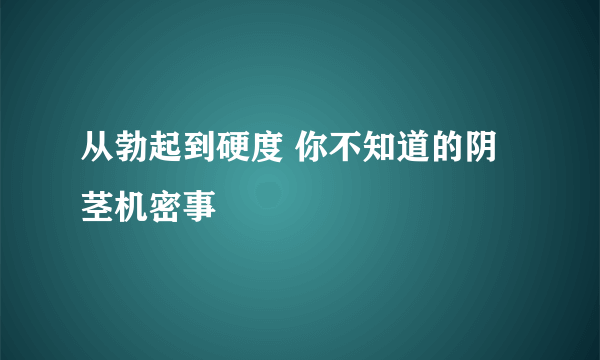 从勃起到硬度 你不知道的阴茎机密事