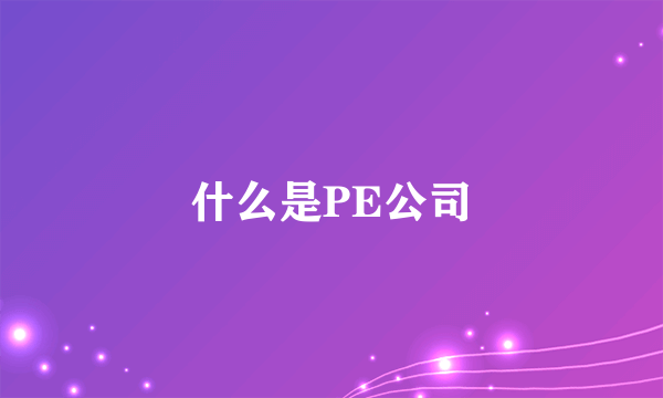 什么是PE公司