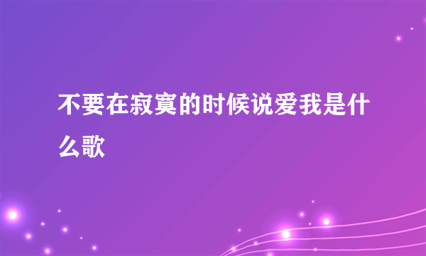 不要在寂寞的时候说爱我是什么歌