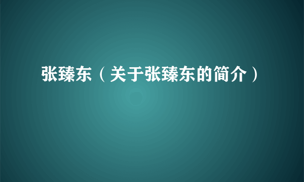 张臻东（关于张臻东的简介）